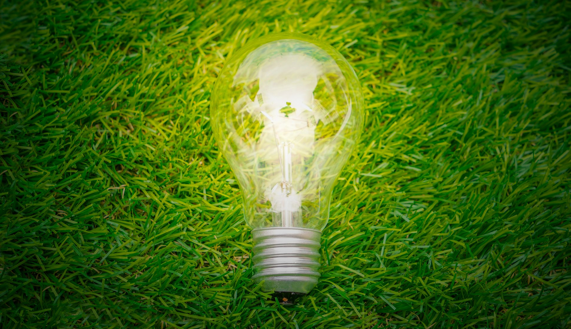 Glühbirne im Gras als Sinnbild für Energiesparen